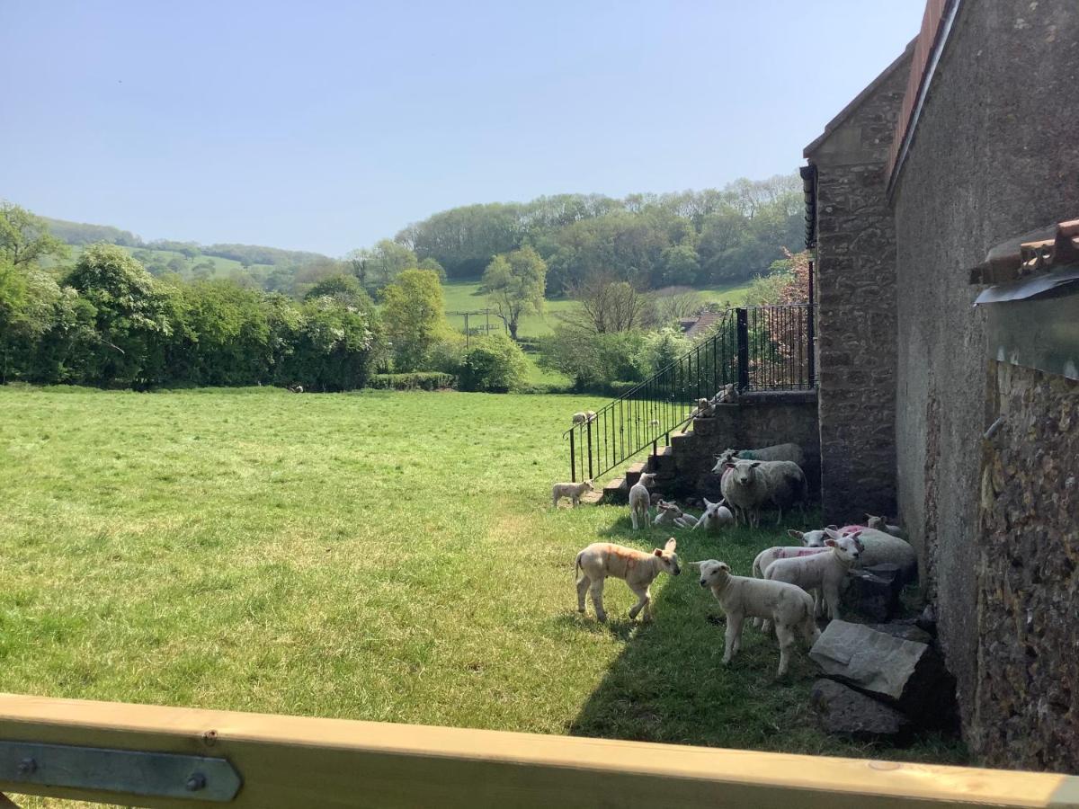 Hayloft Villa Cheddar Eksteriør billede